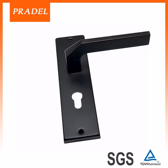 Poignées de porte de fantaisie de matériel décoratif de construction de villa de couleur d'or avec le plat